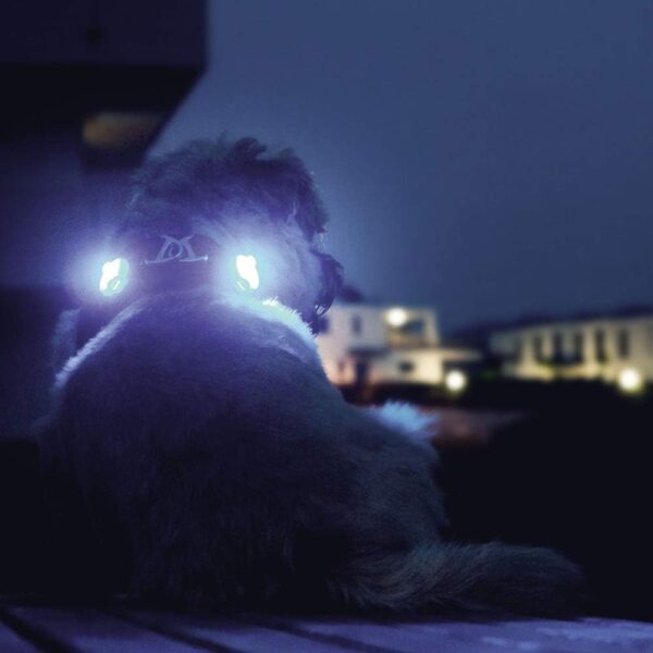 Luci di sicurezza a LED Luumi