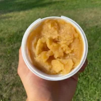POST_PURANATURA_4 Gelato per Cani alla Vaniglia (120g)