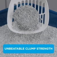 Extra Strong Clumping UNSCENTED (10L)