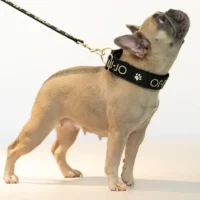 Liu Jo - Collare Jacquard