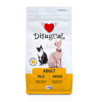 Adult Cat POLLO