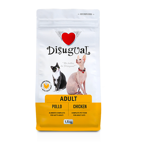 Adult Cat POLLO