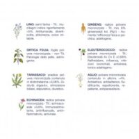 Adulto Anatra e Patate gr 400
