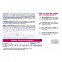 prevenzione-gusto-maiale-con-prosciutto-3-kg (1) Prevenzione GUSTO MAIALE CON PROSCIUTTO 3 Kg