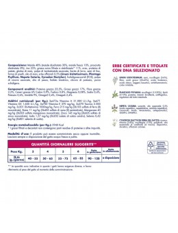 prevenzione-gusto-maiale-con-prosciutto-3-kg (1) Prevenzione GUSTO MAIALE CON PROSCIUTTO 3 Kg